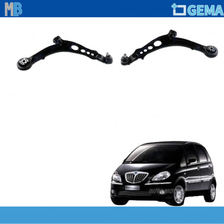 KIT BRACCI OSCILLANTI IDEA MUSA YPSILON NTY