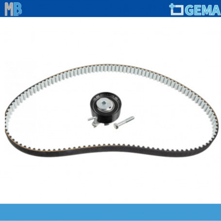 Kit Distribuzione FORD FIESTA VI 1.2 BENZINA RHIAG