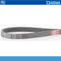 CINGHIA POLY V 6PK1320 OPEN PARTS