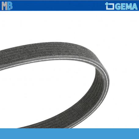 CINGHIA POLY V FIAT IDEA PUNTO 1.9 MULTIJET BMW 8 INFINITI Q30 KIA OPIRUS LANCIA MUSA NISSAN MICRA V PULSAR 2 VOLUMI QASHQAI II 