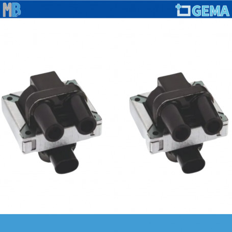 COPPIA BOBINE MOTORI FIRE