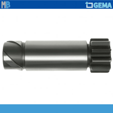 PIGNONE MOTORINO VIS NOVA